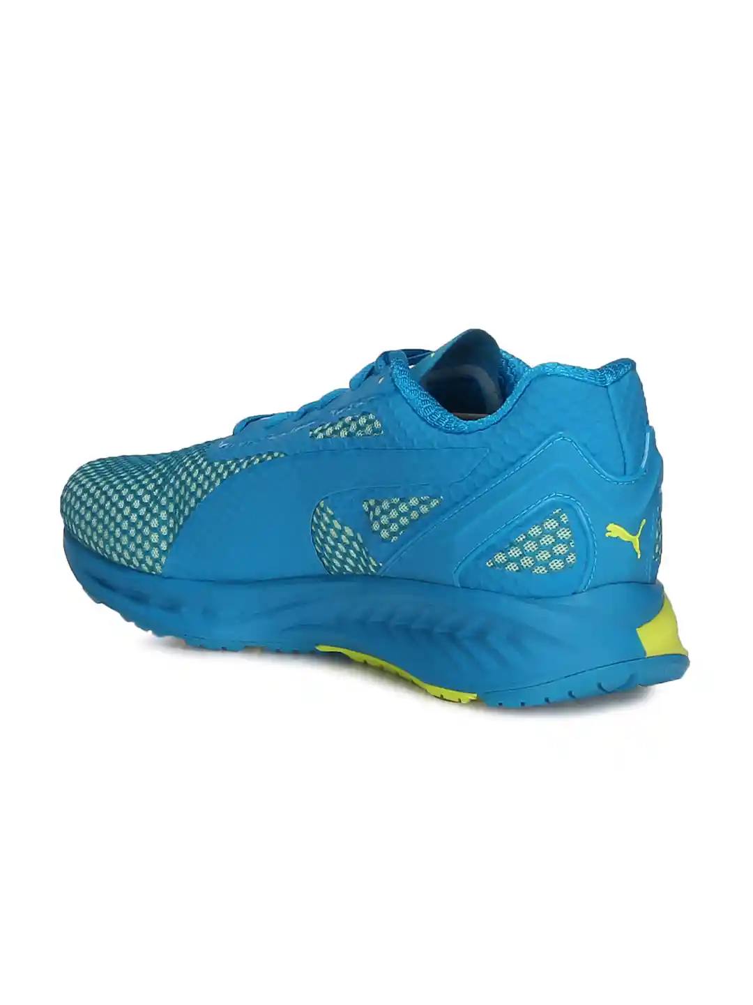 Sneaker Puma Ignite Evoknit Low Price PUMA IGNITE EvoKNIT 'Triple