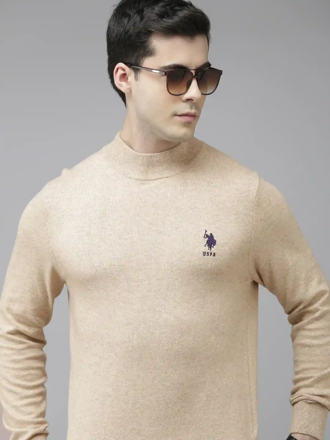 Buy Polo Men Beige Solid Pullover Sweater Sweaters