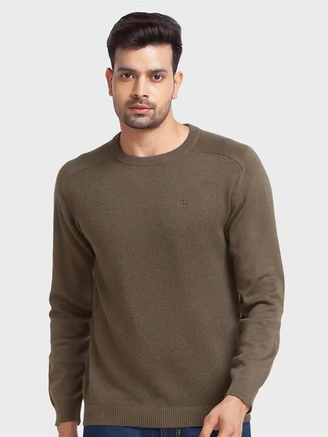 ColorPlus Men Green Solid Pullover