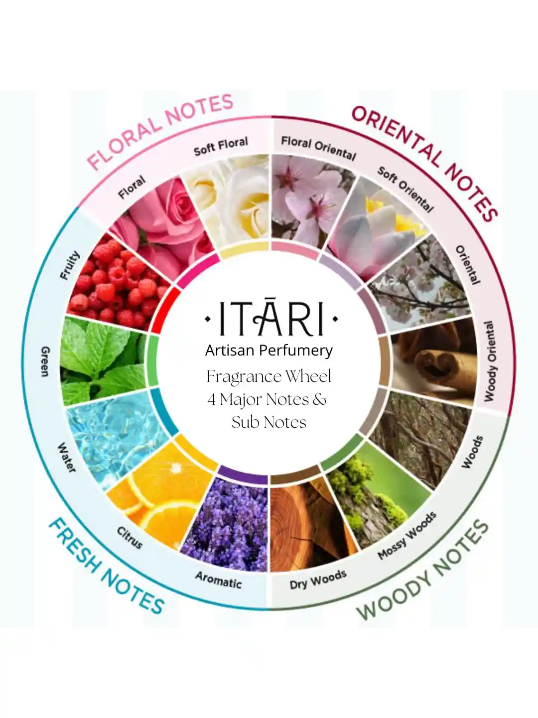Fragrance Wheel Oriental Woody Fragrance Buy Itari Men Aqua Long