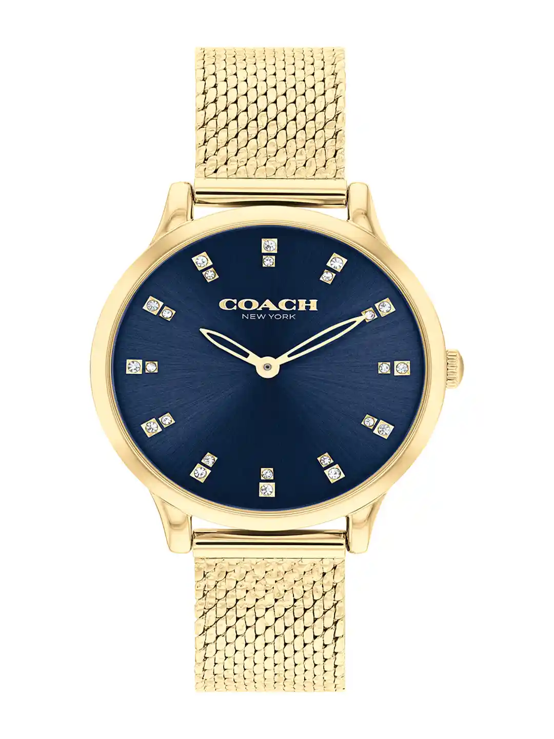 Coach Women Chelsea Embellished Dial Analogue Watch 14504218