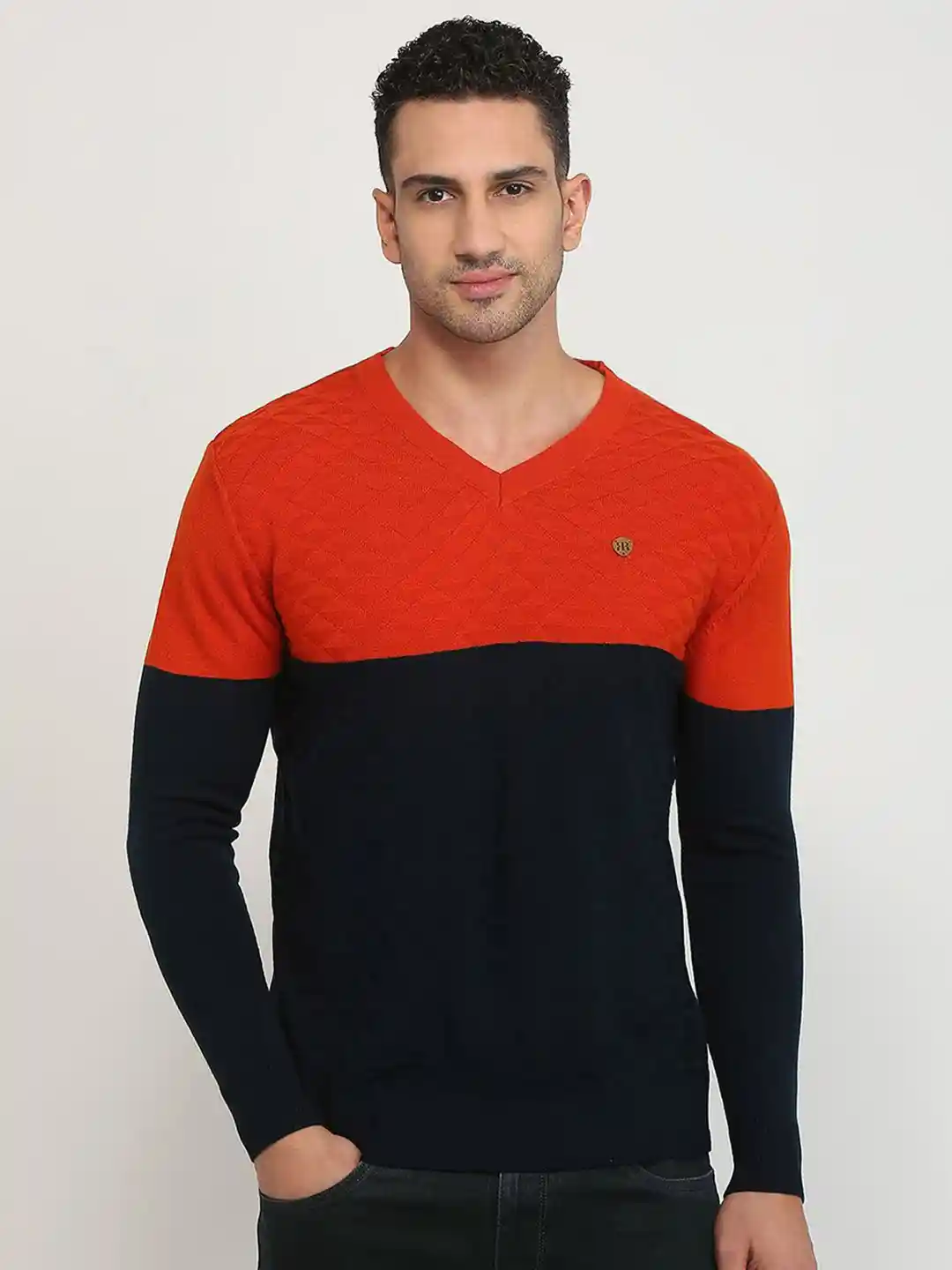 Buy Raymond Men Colourblocked Regular Fit Pullover V Neck Sweater
