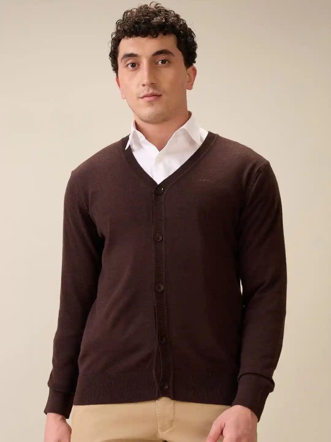 Buy ColorPlus Men Solid V-Neck Regular Fit Cardigan Sweaters for