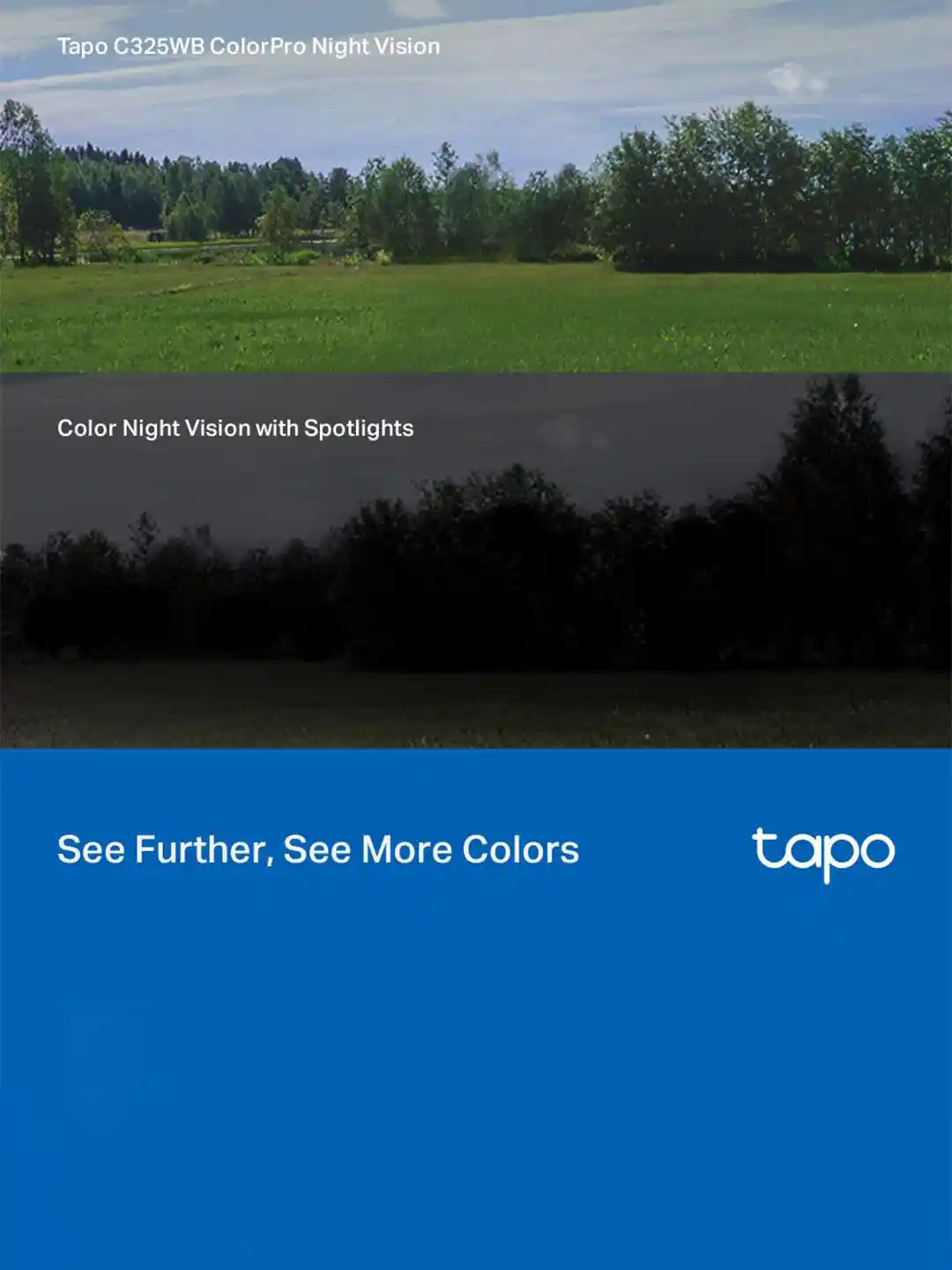 Colour Temperature White Balance Photography Examples TP-Link Tapo - Main Image
