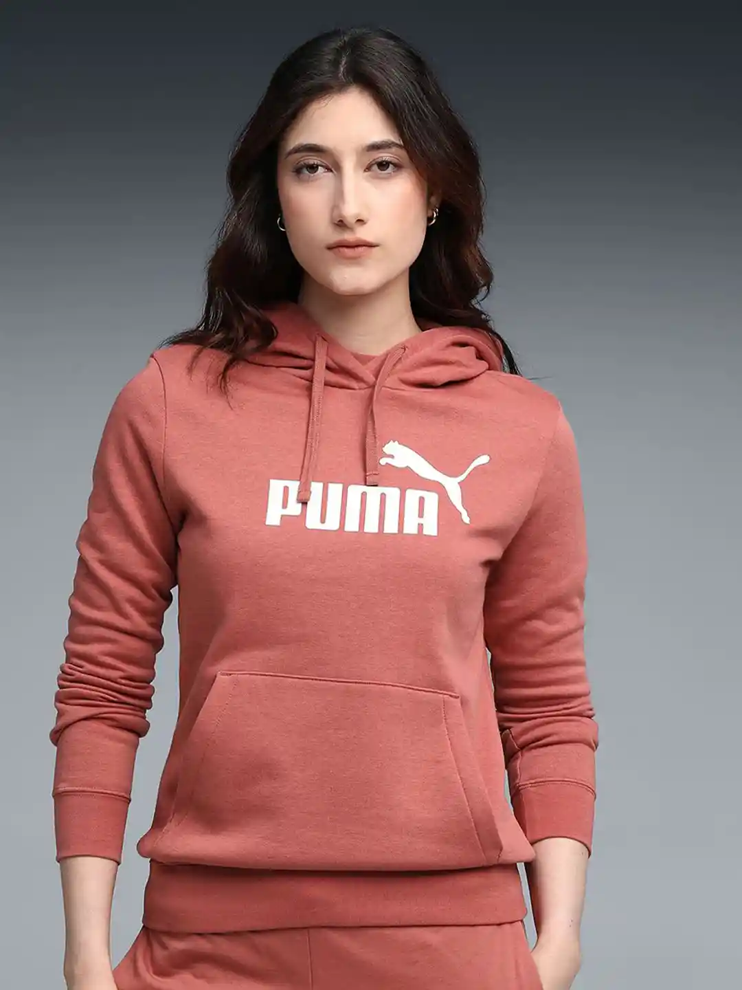 Buy Puma Essentials Logo Women Hoodie Sweatshirts for