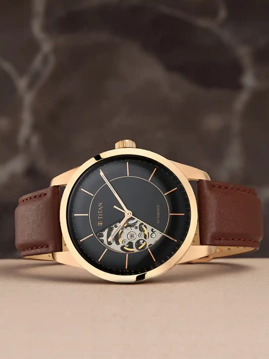 Titan Men Skeleton Dial Leather Straps Analogue Watch NQ90126WL02