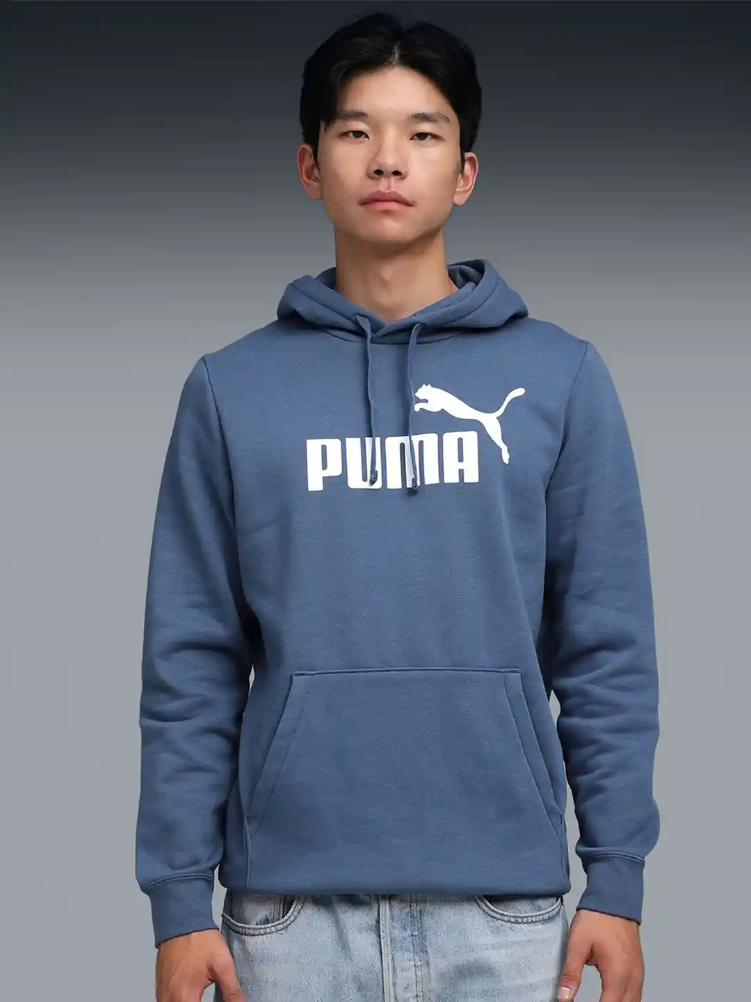 Puma Essentials Logo Men Brand Logo Comfort Hoodie