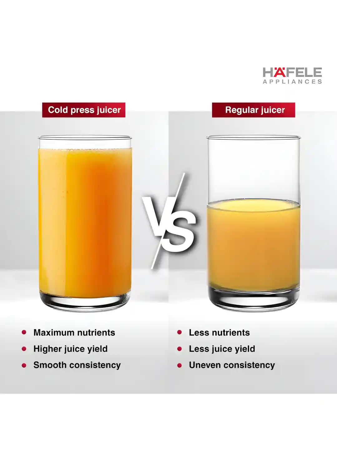 Hafele Magnus Cold Press Black Plastic Easy To Assemble Wet and Dry Grinder  with Juicer-250W