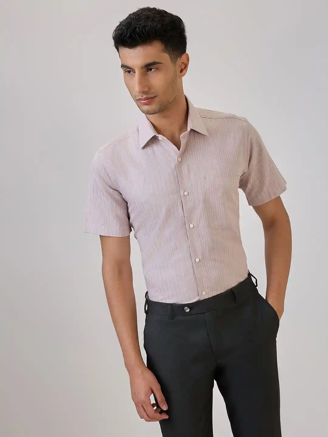 Buy Raymond Men Striped Cutaway Collar Half Sleeve Formal Shirt