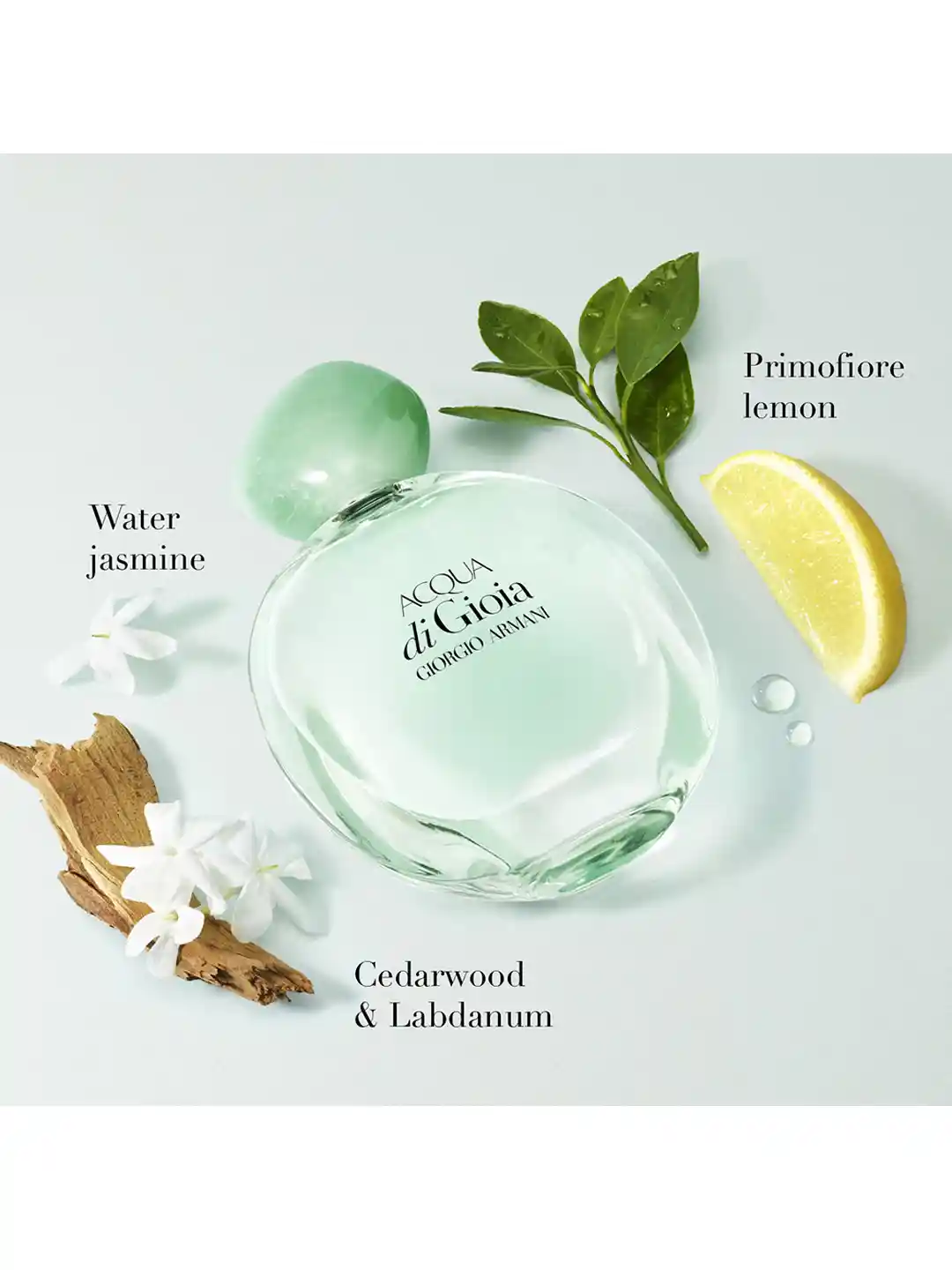 Buy GIORGIO ARMANI Acqua Di Gioia Eau de Parfum 50ml Perfume for