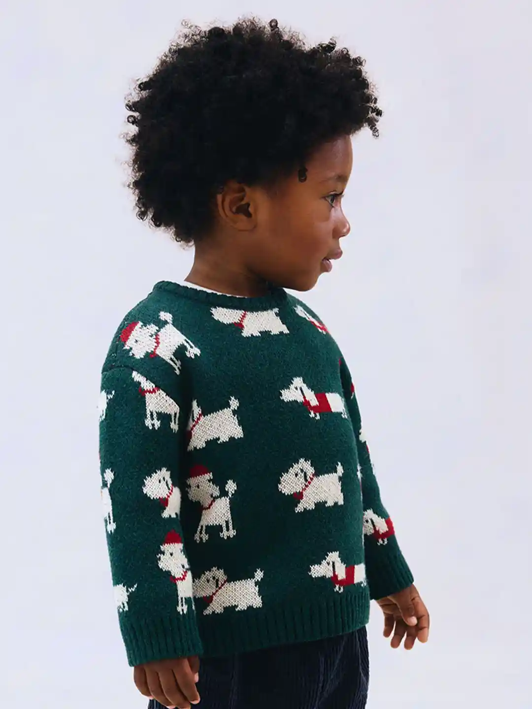 Buy H&M Jacquard-Knit Cotton Jumper Sweaters for Boys 37481848