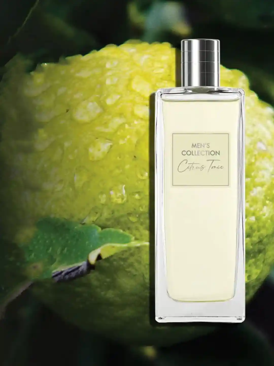 Buy Oriflame Men's Collection Citrus Tonic Long Lasting Eau De