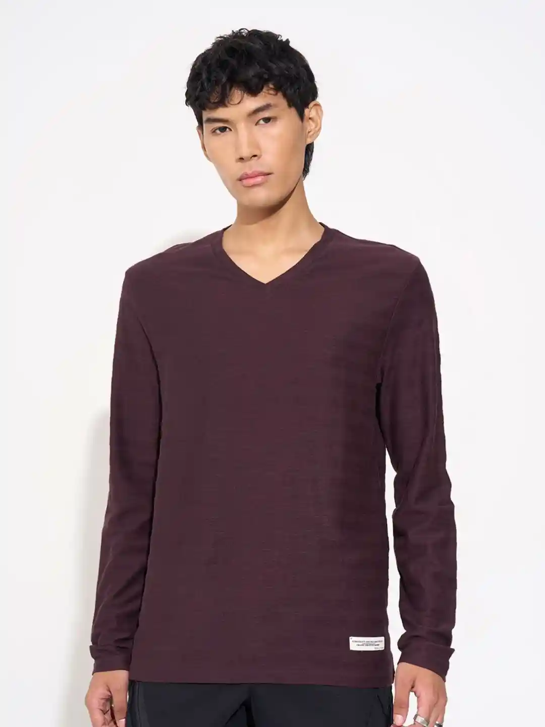 Buy People Men Solid V-Neck Pure Cotton Regular Sleeves Regular
