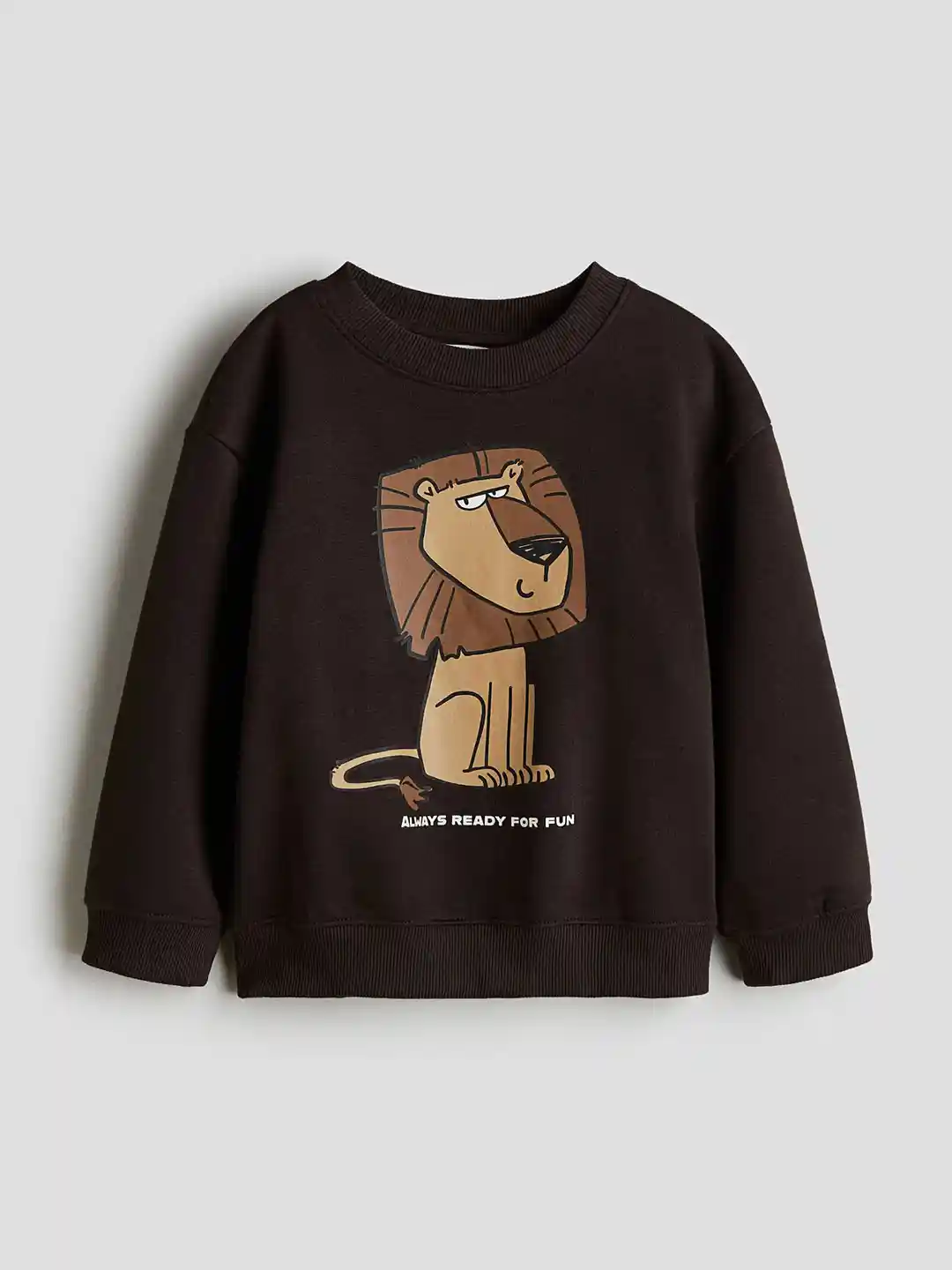Buy H&M Boys Sweatshirt Sweatshirts for Boys 36777950 Myntra