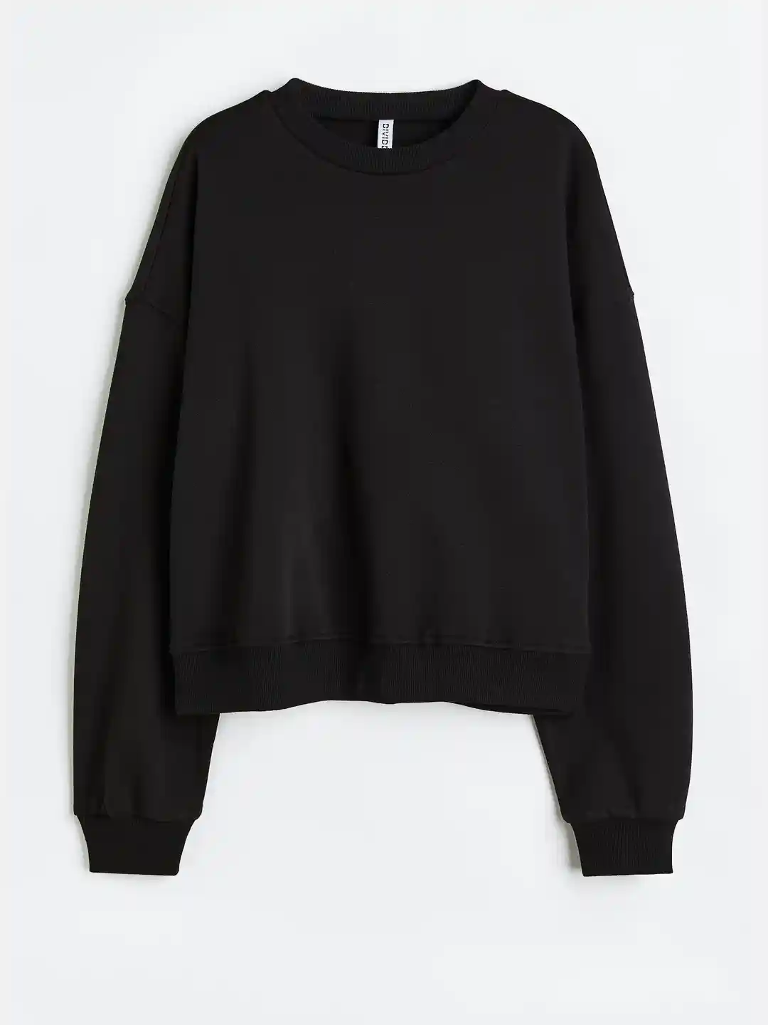 Buy H&M Women Sweatshirt Sweatshirts for Women 21460702 Myntra
