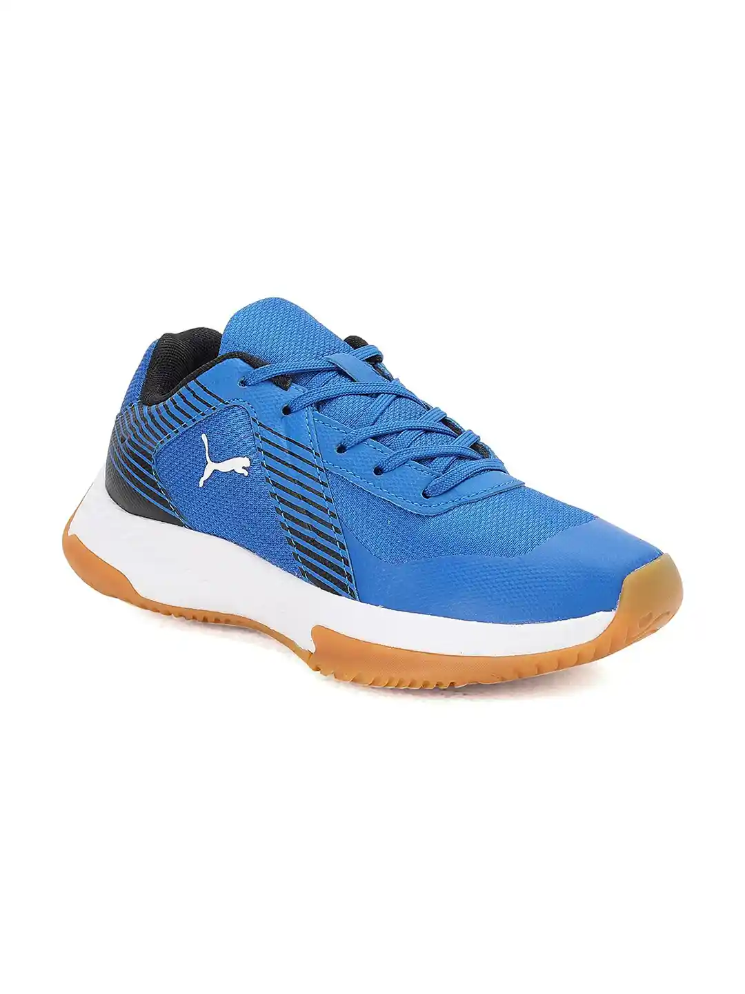 Buy Puma Kids Blue Varion Youth Indoor Sports Shoes Sports Shoes