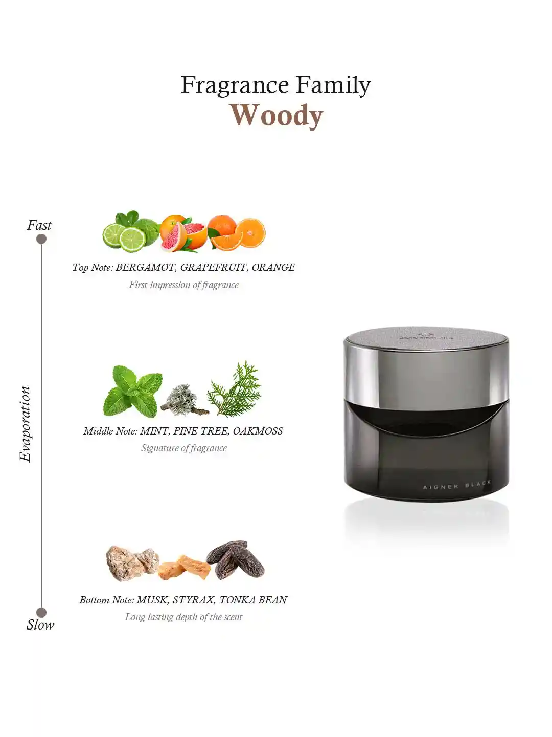 AIGNER Men Black M EDT 125 ml