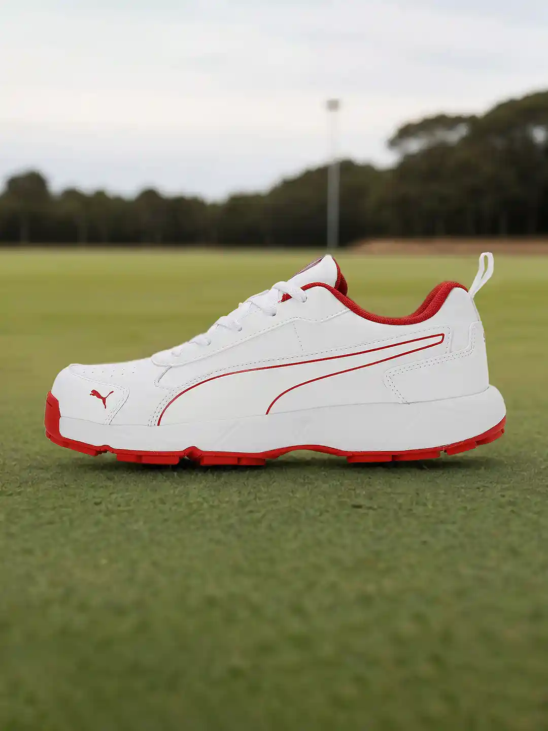 PUMA Cricket Classicat Cricket Shoes For Men (White , 4)