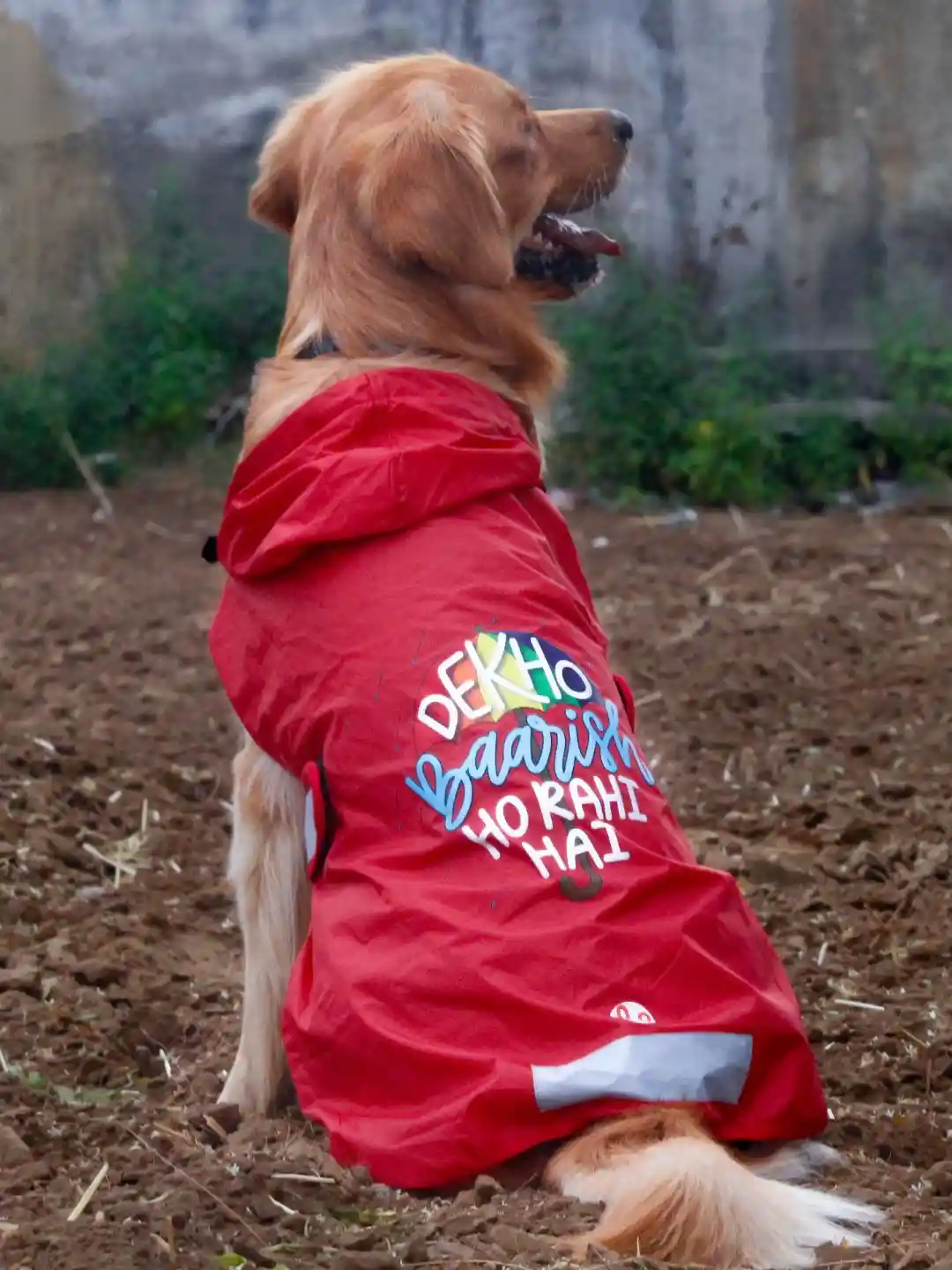 LANA PAWS Printed Waterproof hooded Dog Raincoat