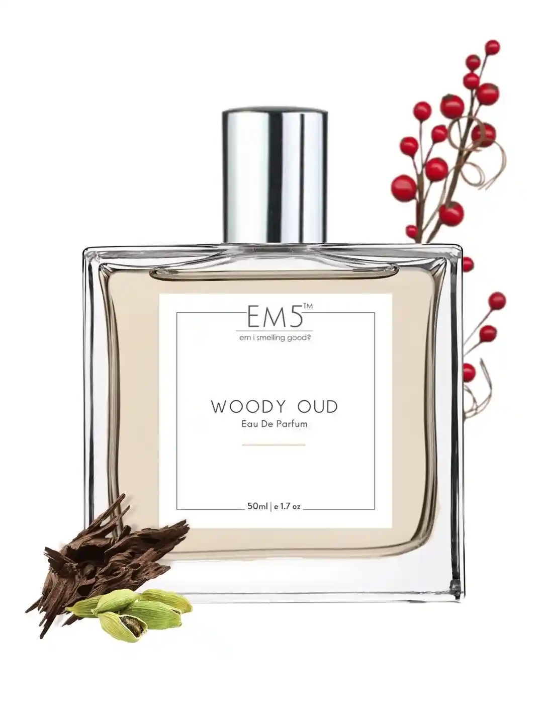 Spicy Best Mens Woody Fragrance Buy EM5 Men Woody Oud Spicy Eau De