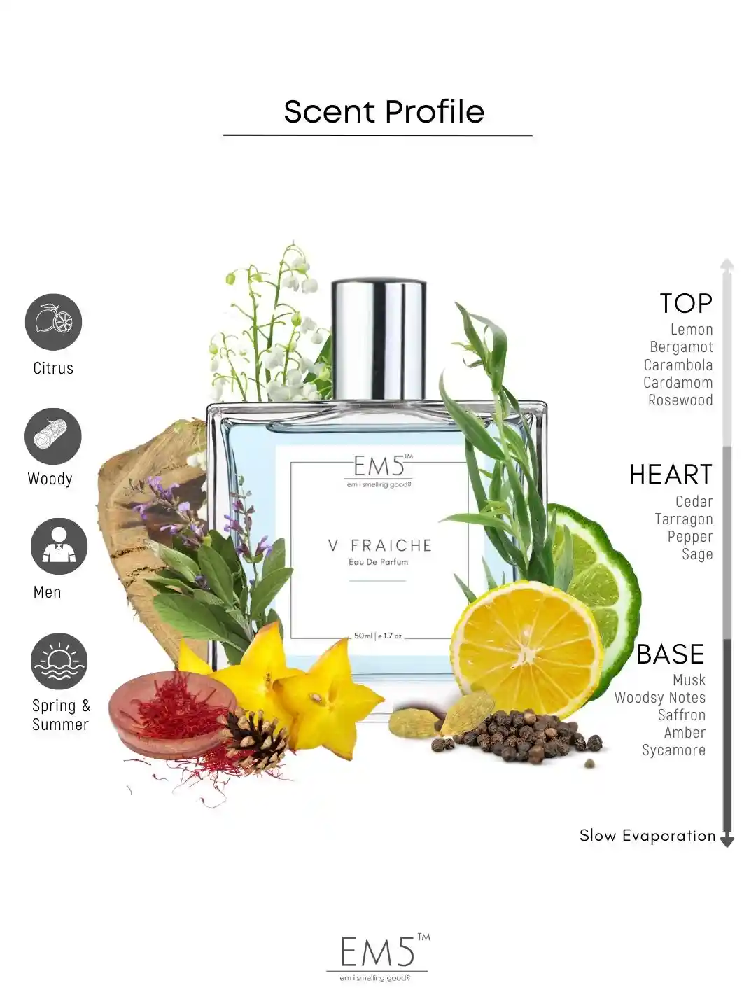 Buy EM5 Men V Fraiche Eau De Parfum-50 ml Perfume for Men