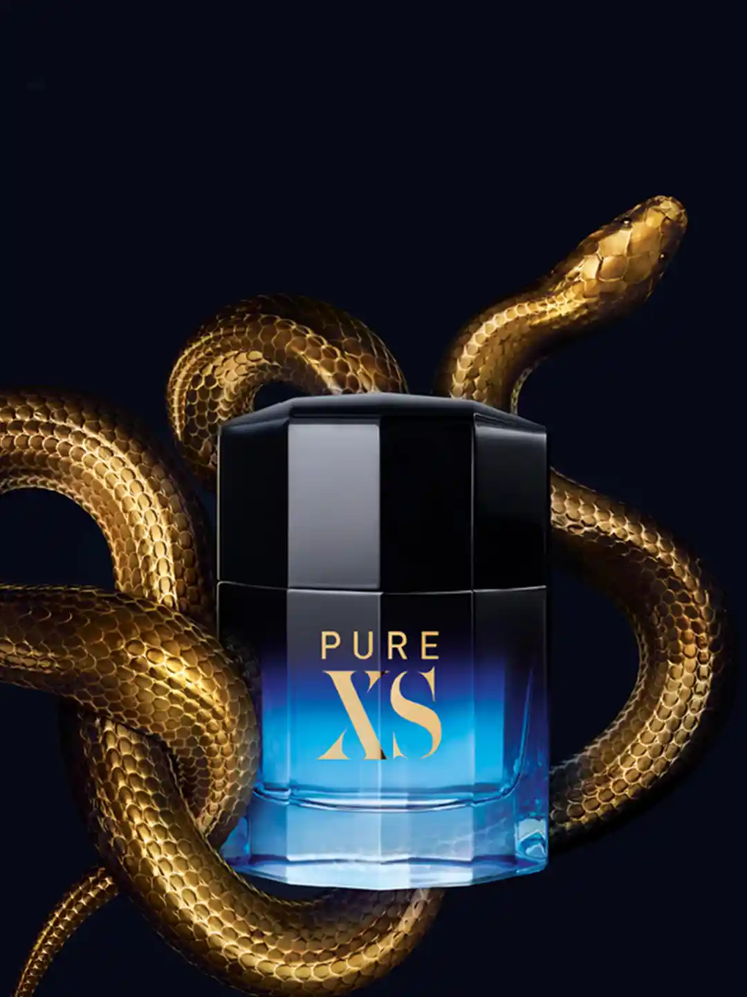 Buy Paco Rabanne Men Pure XS Eau de Toilette 100 ML Perfume for