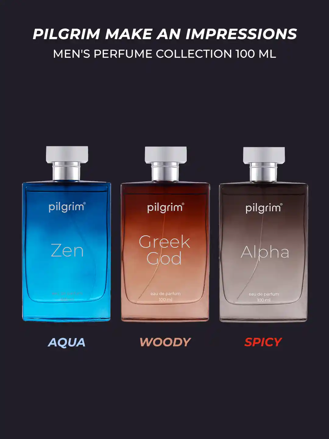 Buy Pilgrim Make An Impression Mens Perfume Collection 100ml