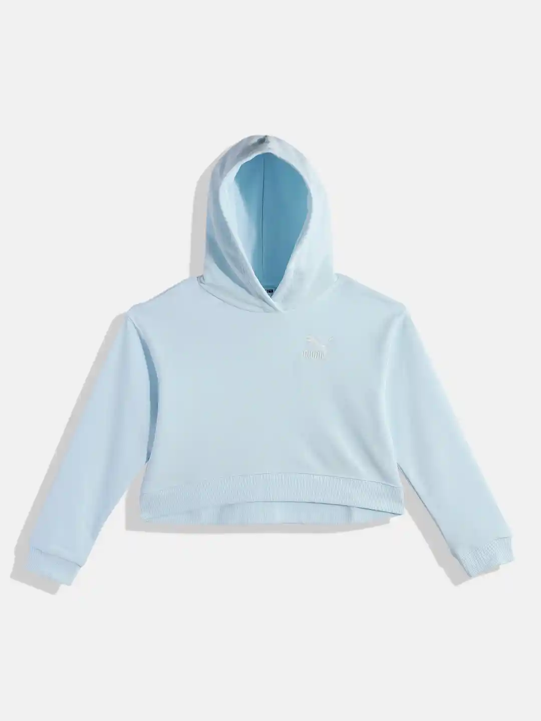 Buy Puma Girls Classic Hooded Sweatshirt Sweatshirts for Girls