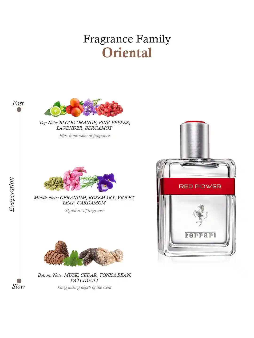 Buy FERRARI Men Red Power Eau de Toilette 75 ml Perfume for Men