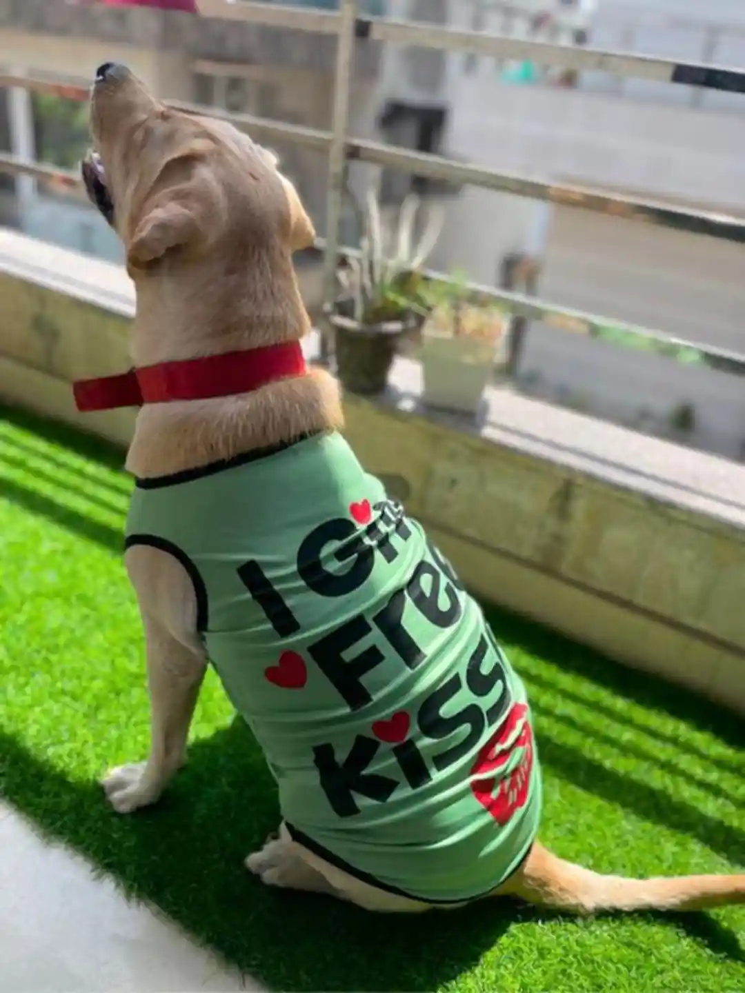 Lulala Printed Dog T-shirt