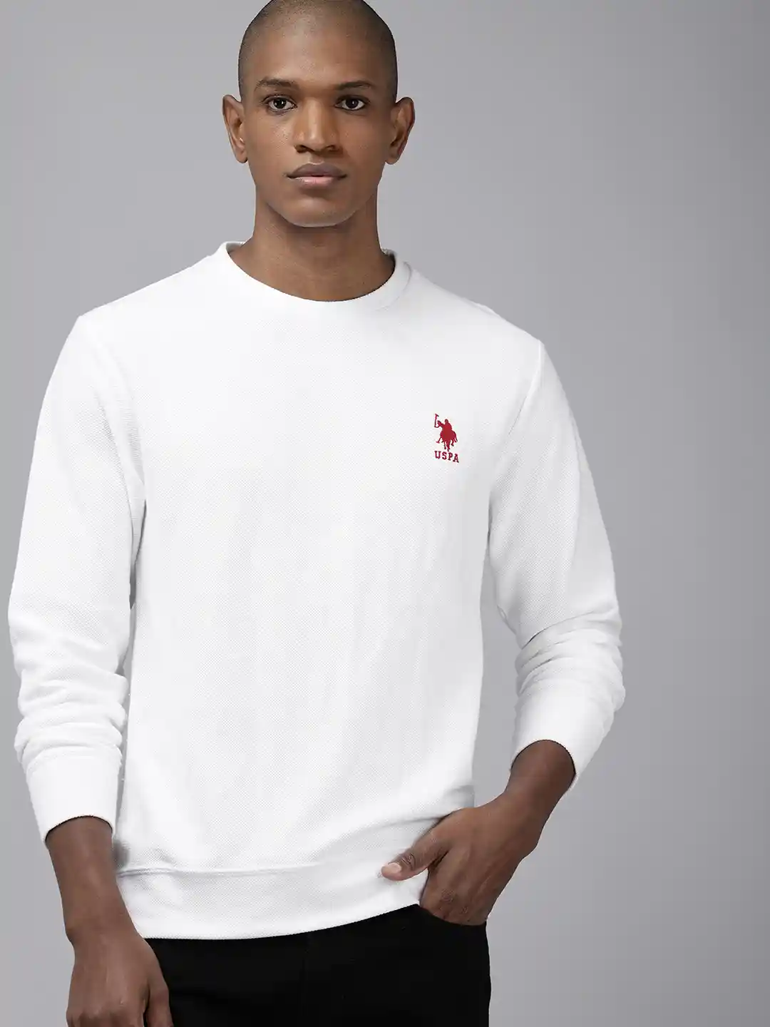 Buy Polo Self Design Pullover Sweatshirt Sweatshirts