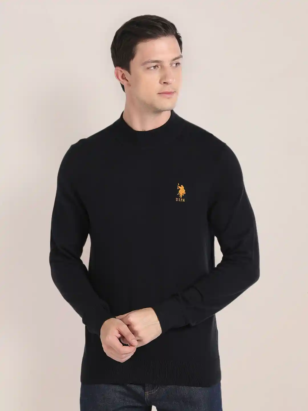 Buy Polo Embroidered Brand Logo Turtle Neck Long