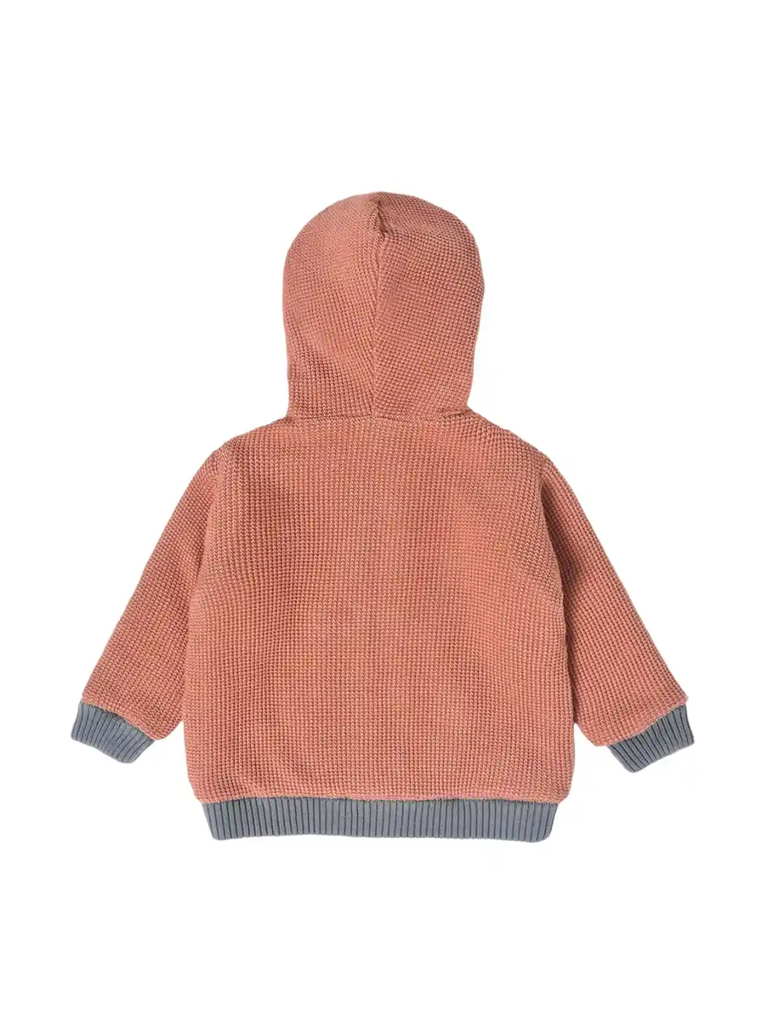 Buy MiArcus Kids Hooded Jacket with Embroidery - Jackets for
