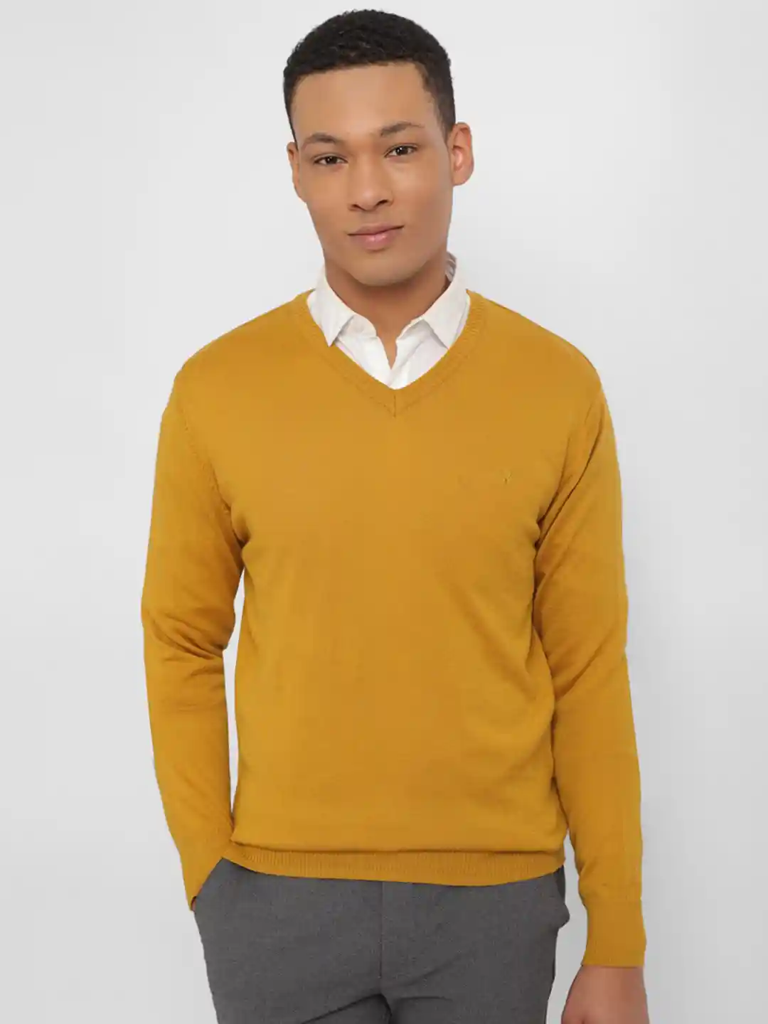 Buy Allen Solly V-Neck Wool Acrylic Pullover Sweaters for Men