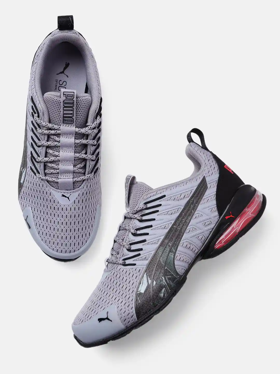 Athletic Mesh Puma Momenta Men's Training Shoes PUMA Running Shoes 'Axelion  Refresh' In Grey ABOUT YOU