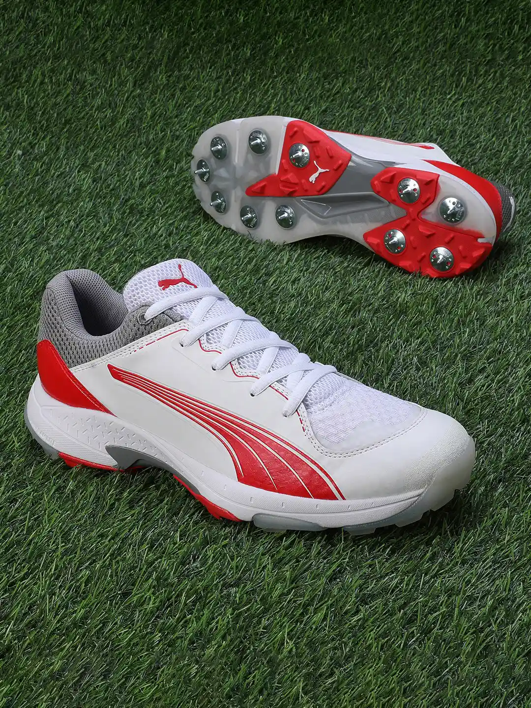 Buy Puma Unisex Spike Cricket Shoes Sports Shoes for Unisex