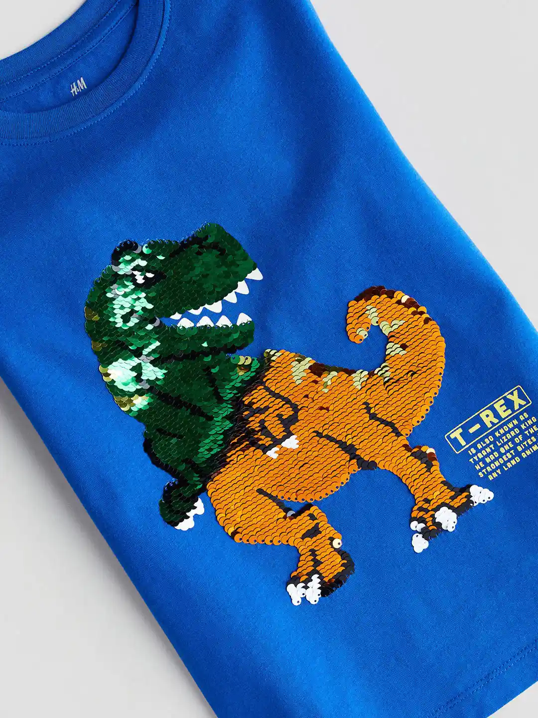 Buy H&M Boys Pure Cotton Reversible-Sequin T-Shirt Tshirts for