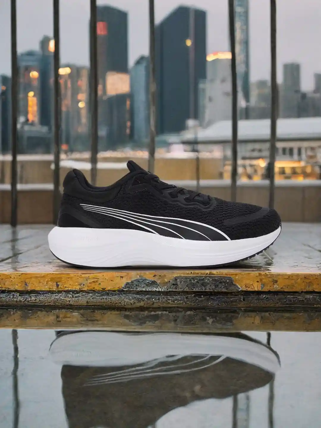 Buy Puma Women Scend Pro Running Shoes Sports Shoes for Women