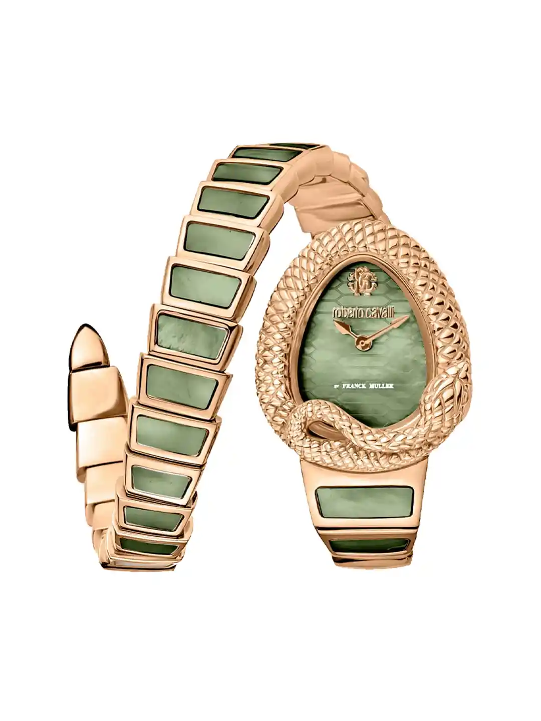 Buy Roberto Cavalli by Franck Muller Women Stainless Steel Straps