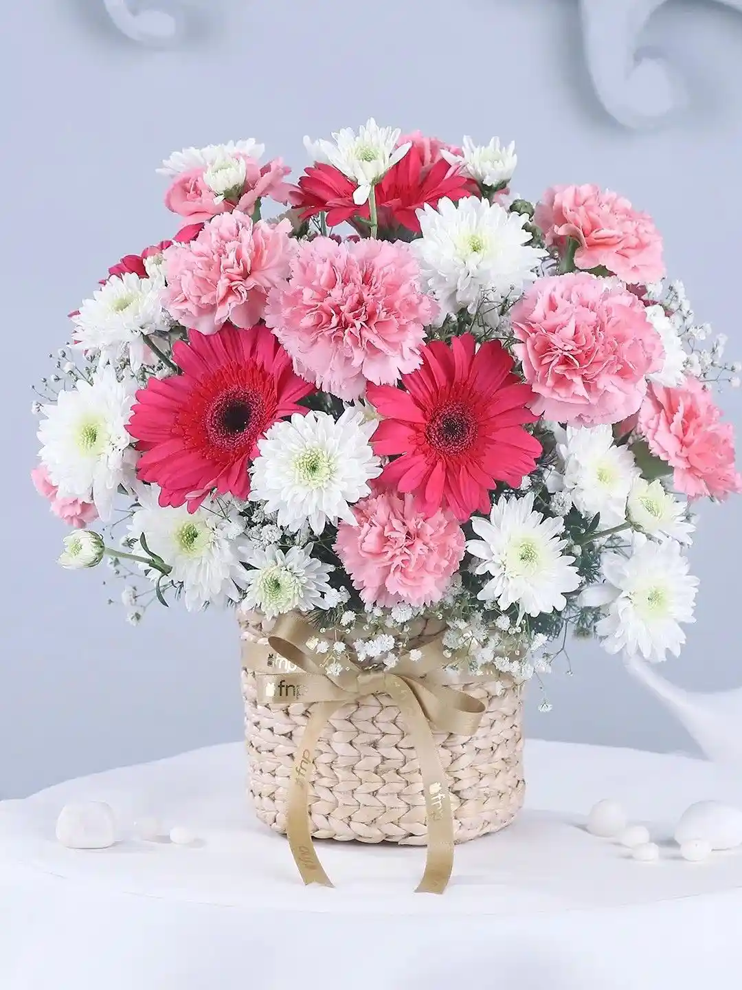 Buy fnp White Pink 27 Pieces Daisies Carnations Fresh Flowers
