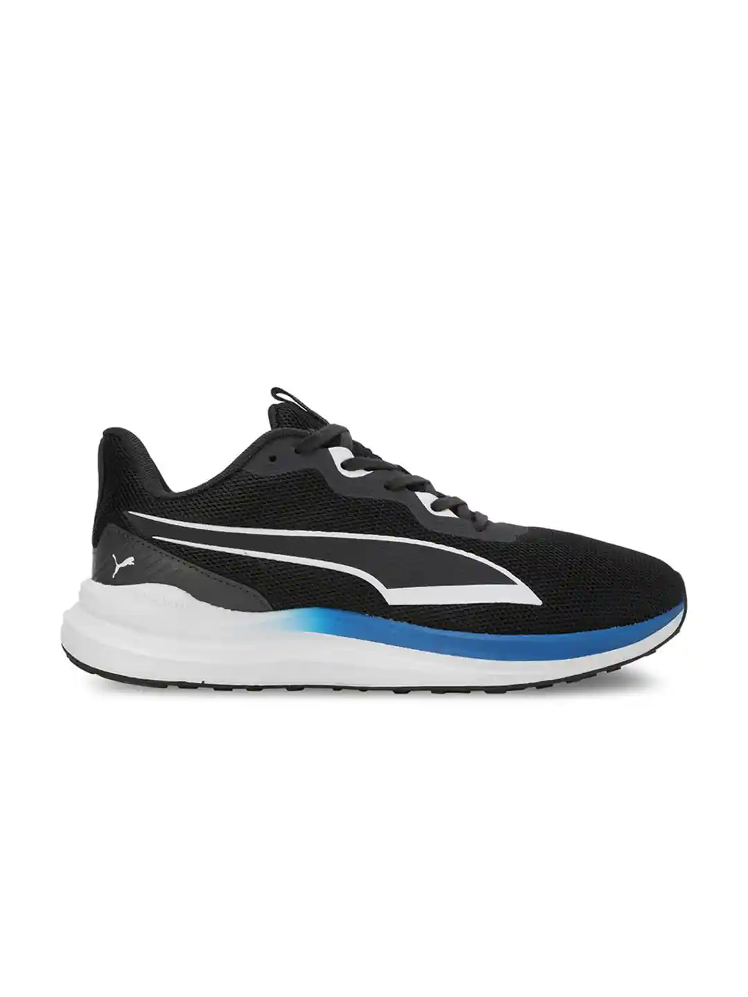 Shoes Puma Chaussure Running Puma Softride Carson Fresh Wns