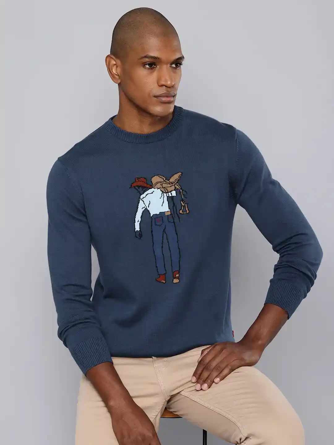 Buy Levis Pure Cotton Graphic Self Design Pullover Sweater