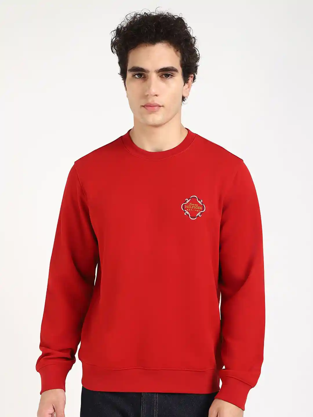 Buy Tommy Hilfiger Men Cotton Round Neck Pullover Sweaters for