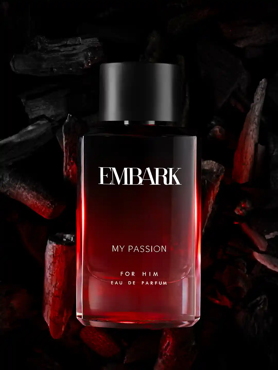 Buy EMBARK Men My Passion EDP Perfume Spray 100 ml Perfume for