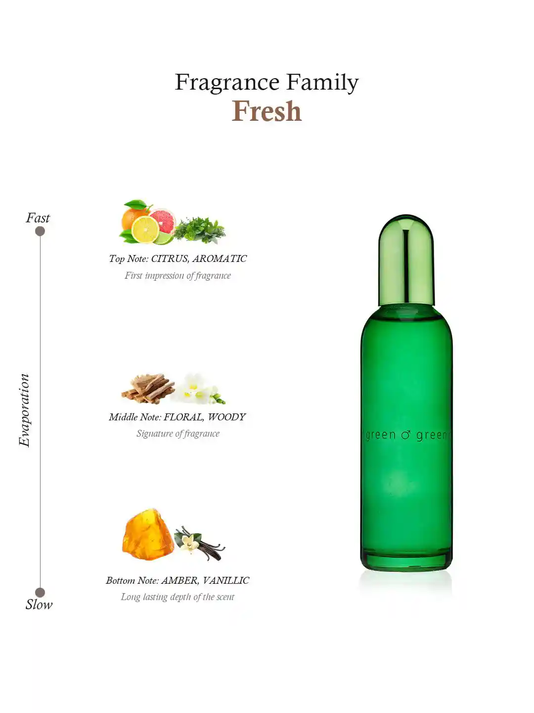 Buy Colour me Men Green EDP 90ML Perfume for Men 58964 Myntra