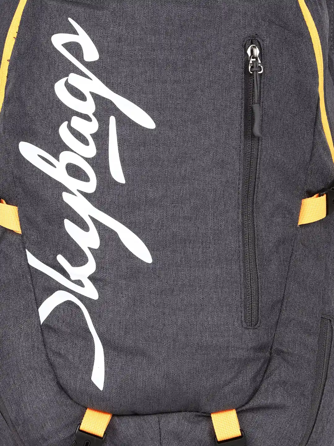 Buy Skybags Unisex Grey Nickel 02 Backpack Backpacks for Unisex