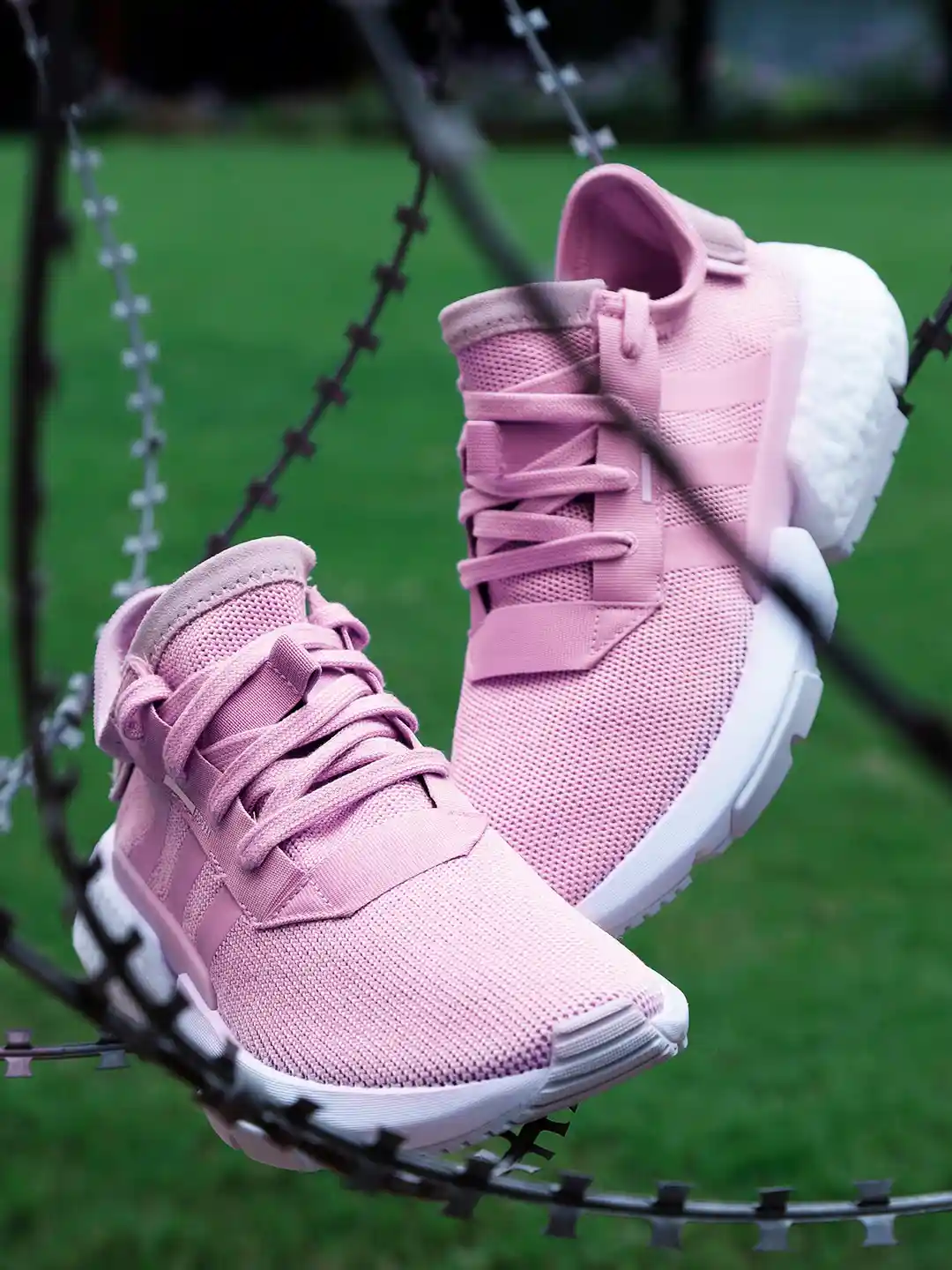 Buy ADIDAS Originals Women Purple Casual Shoes Casual