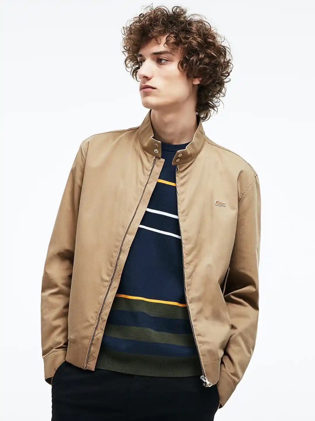 Buy Lacoste Men Beige Solid Lightweight Padded Jacket - Jackets