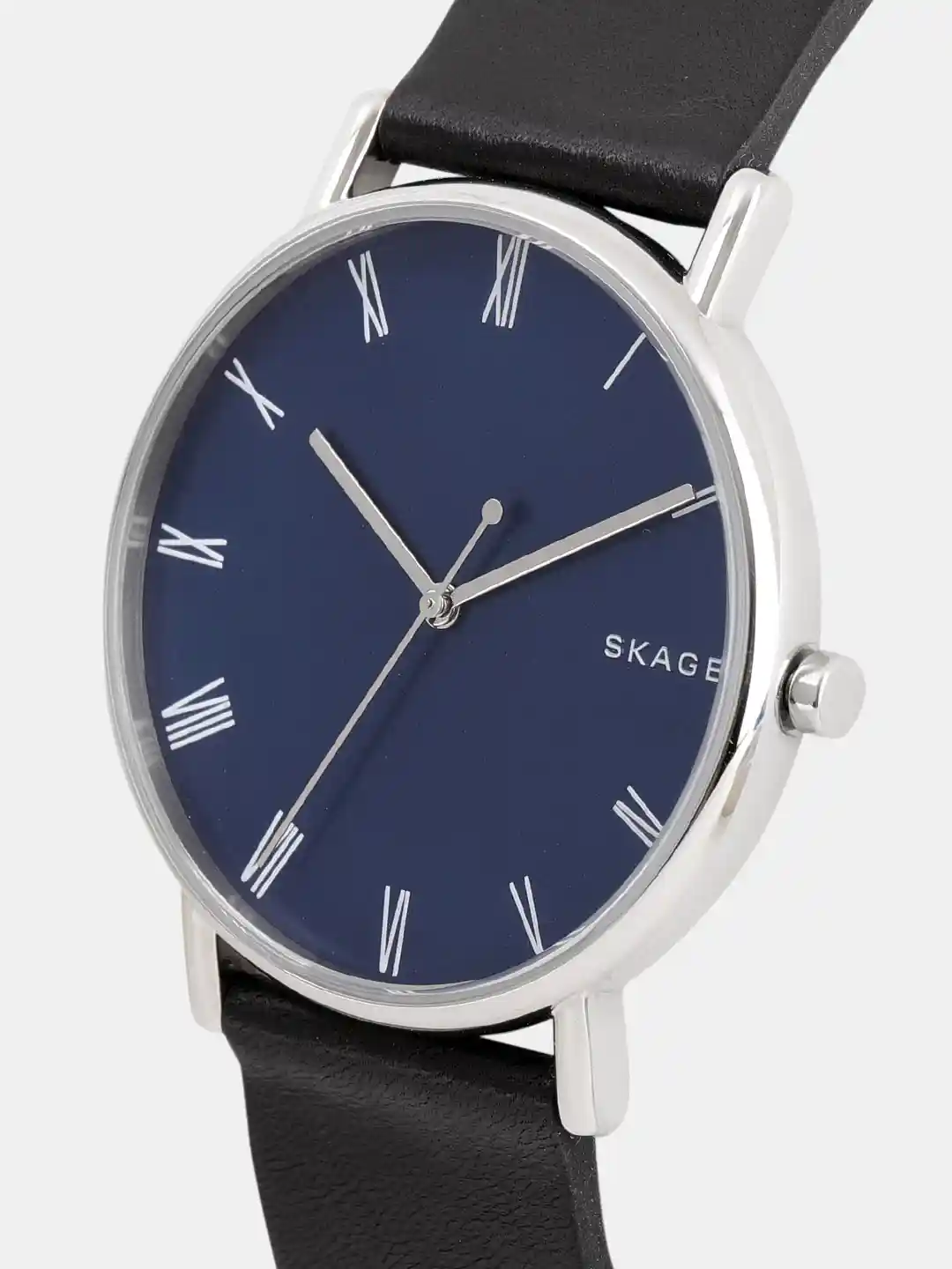 Buy SKAGEN Men Blue Factory Serviced Analogue Watch SKW6434I