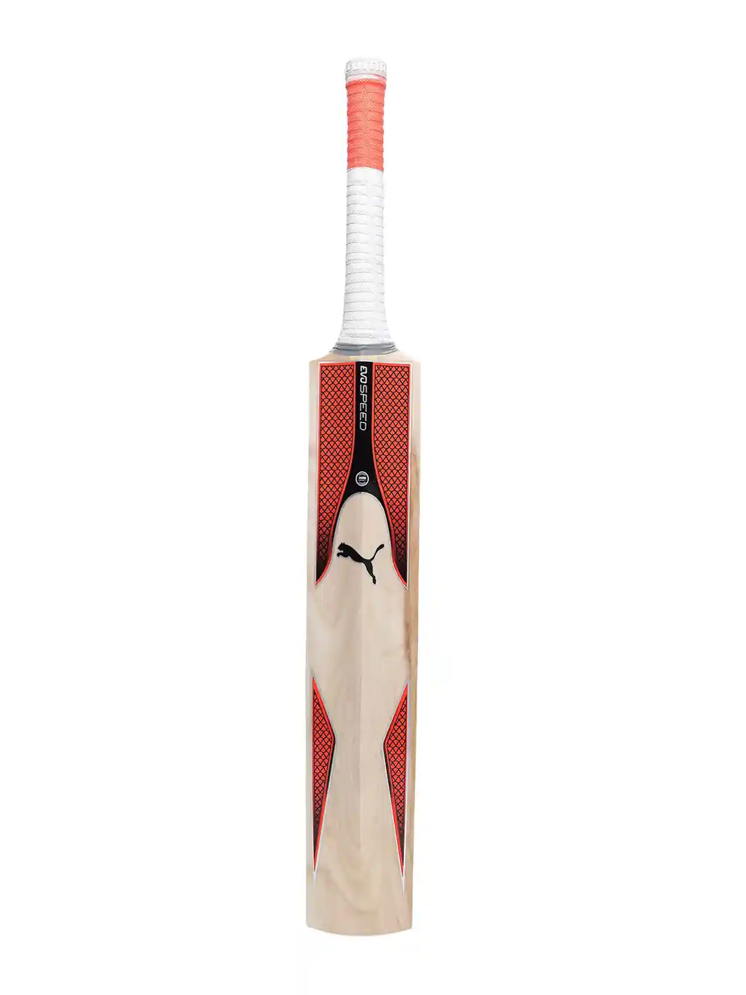 PUMA PU15403E BL 49□15-132mm T-NT Buy Puma Unisex-Adult